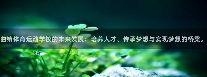 J9官网下载平台注册：曲靖体育运动学校的未来发展：培