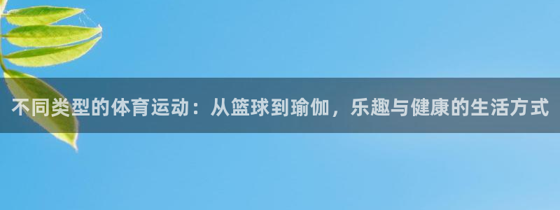 J9官网下载招商电话号码：不同类型的体育运动：从篮球