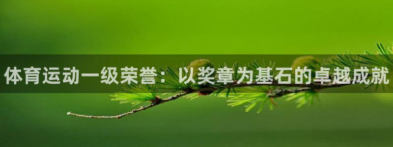 J9官方正版app官方：体育运动一级荣誉：以奖章为基石的卓越