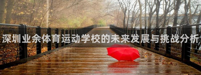 J9官方平台体育：深圳业余体育运动学校的未来发展与挑