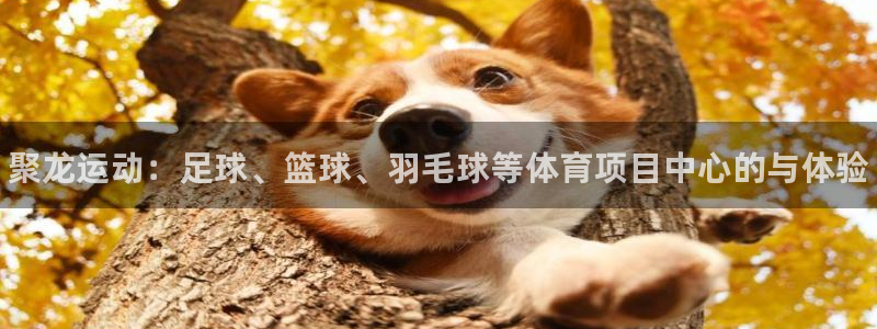 J9官方正版app娱乐首页官网下载