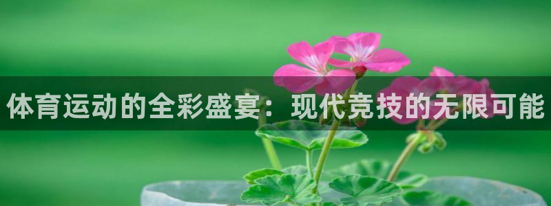 J9官方正版app娱乐代理怎么样：体育运动的全彩盛宴