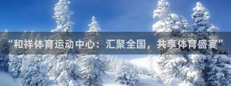J9官方正版app集团简介：“和祥体育运动中心：汇聚全国，共