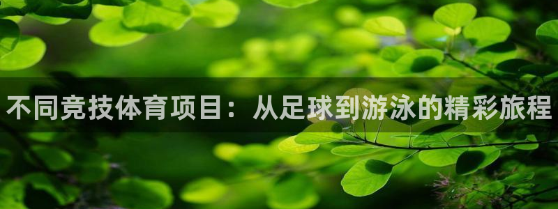 J9官方正版app娱乐：不同竞技体育项目：从足球到游
