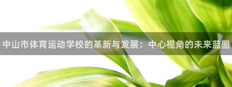 J9官网下载平台注册要钱吗是真的吗：中山市体育运动学校的革新