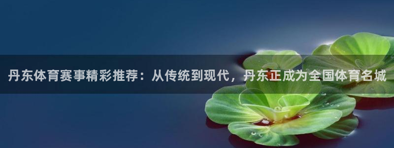 J9官网下载平台是正规平台吗安全吗