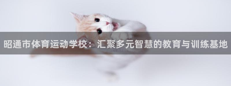 J9官方正版app代理