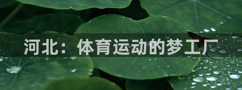 J9官方正版app娱乐网站