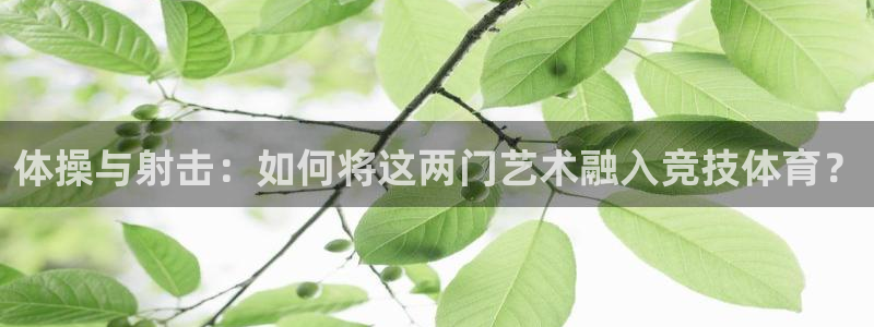 J9官方正版app娱乐平台