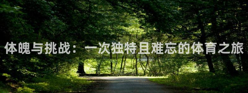J9官网下载软件：体魄与挑战：一次独特且难忘的体育之