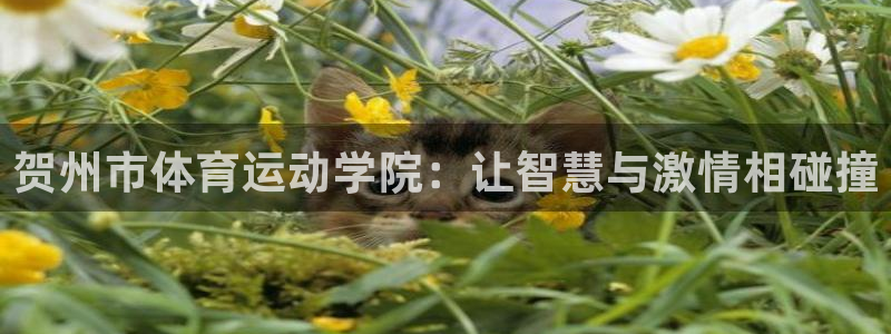 海南J9官网下载：贺州市体育运动学院：让智慧与激情相碰撞
