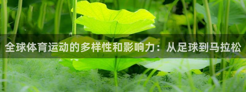 J9官网下载招商电话号码是多少号：全球体育运动的多样性和影响