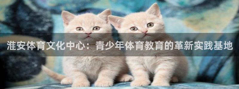 J9官网下载招商电话是多少号码：淮安体育文化中心：青少年体育