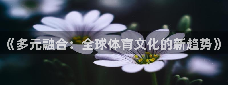 J9官方正版app娱乐下载：《多元融合：全球体育文化