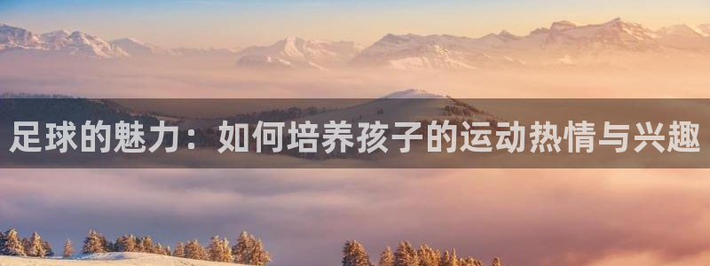 J9官网下载平台假的吗是真的吗：足球的魅力：如何培养孩子的运