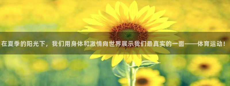 九游网页版登录入口：在夏季的阳光下，