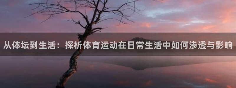 九游官网部落冲突：从体坛到生活：探析