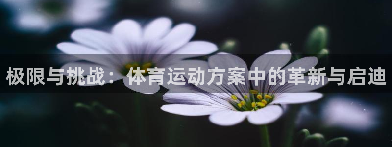 九游游戏中心官方：极限与挑战：体育运
